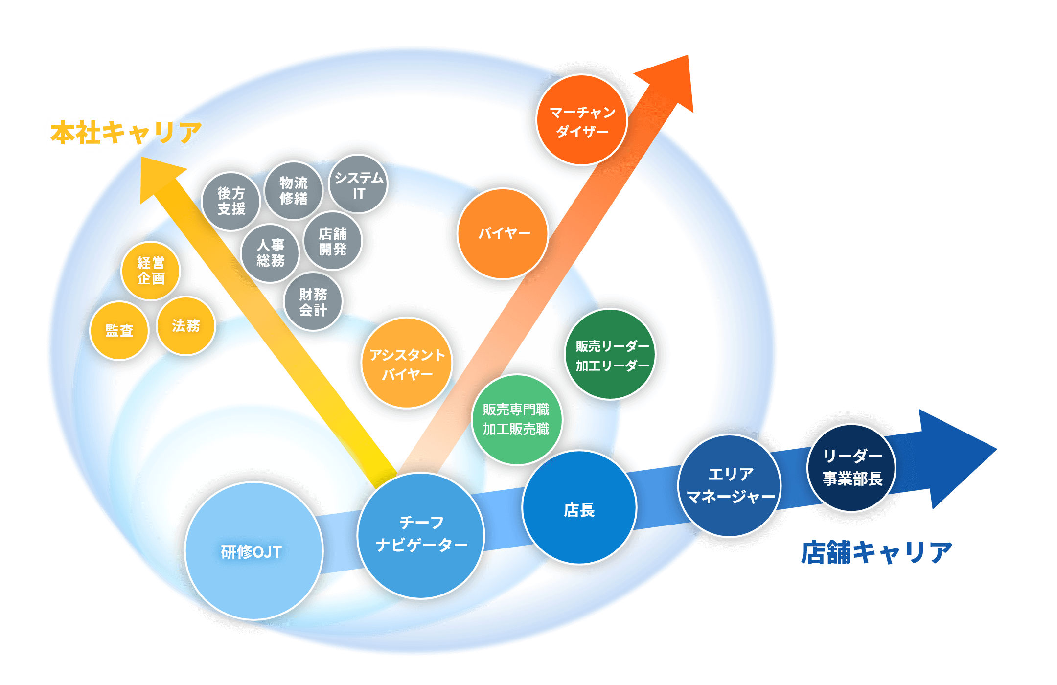 キャリアパスのイメージ図